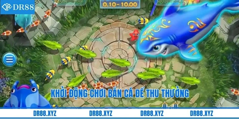 Khởi động chơi bắn cá để thu thưởng