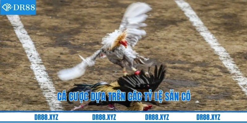 Cá cược dựa trên các tỷ lệ sẵn có