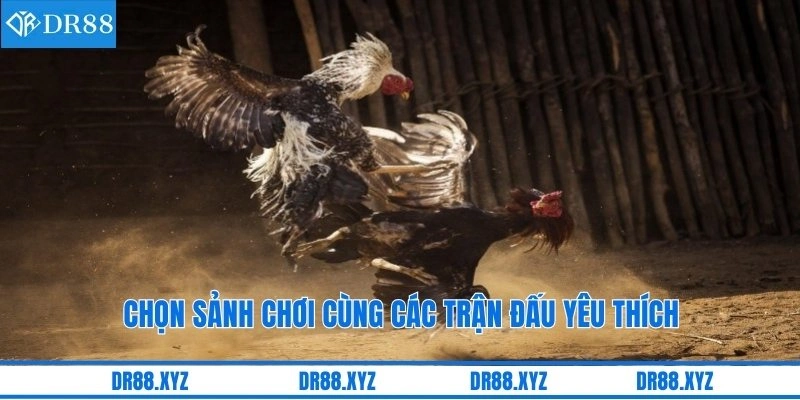 Chọn sảnh chơi cùng các trận đấu yêu thích