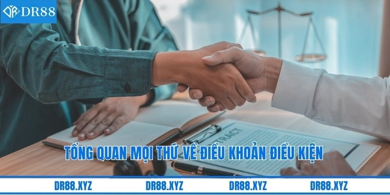 Tổng quan mọi thứ về điều khoản điều kiện