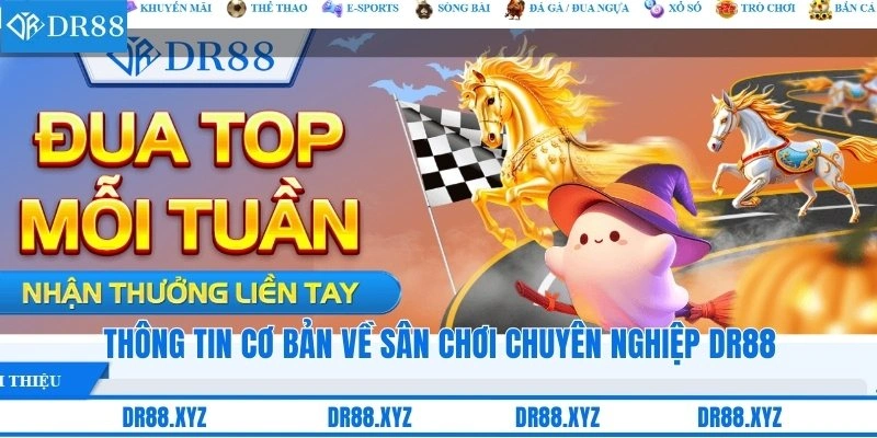 Thông tin cơ bản về sân chơi chuyên nghiệp DR88