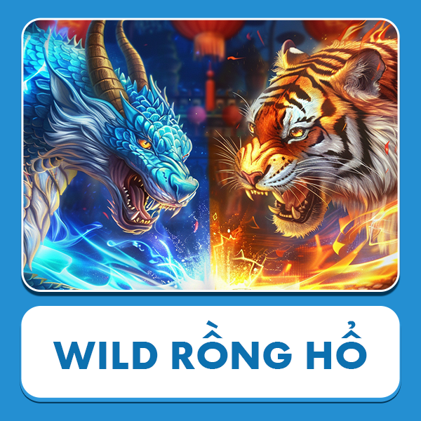 Wild Rồng Hổ